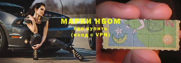 mdpv Бородино
