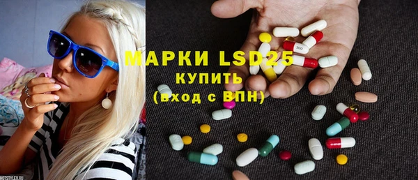mdpv Бородино
